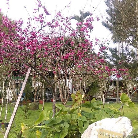 Sun Moon Lake Wild Flower Bed & Breakfast Yuchi Ngoại thất bức ảnh