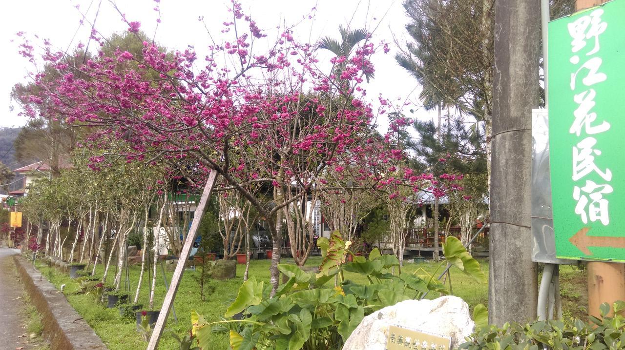 Sun Moon Lake Wild Flower Bed & Breakfast Yuchi Ngoại thất bức ảnh