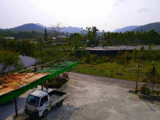 Sun Moon Lake Wild Flower Bed & Breakfast Yuchi Ngoại thất bức ảnh